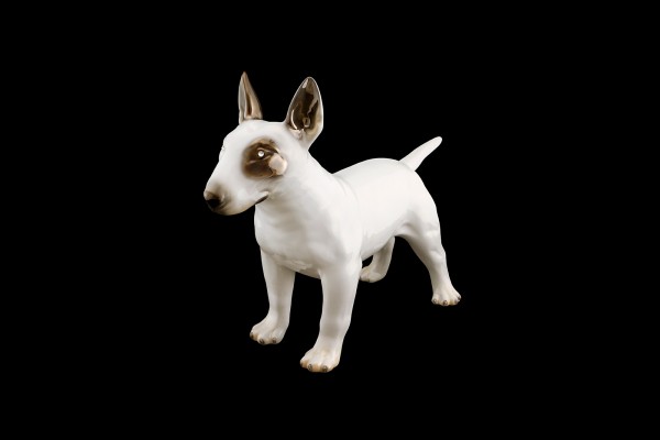 Bull terrier